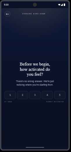 Lighthouse evening wind-down screen asking: Before we begin, how activated do you feel?